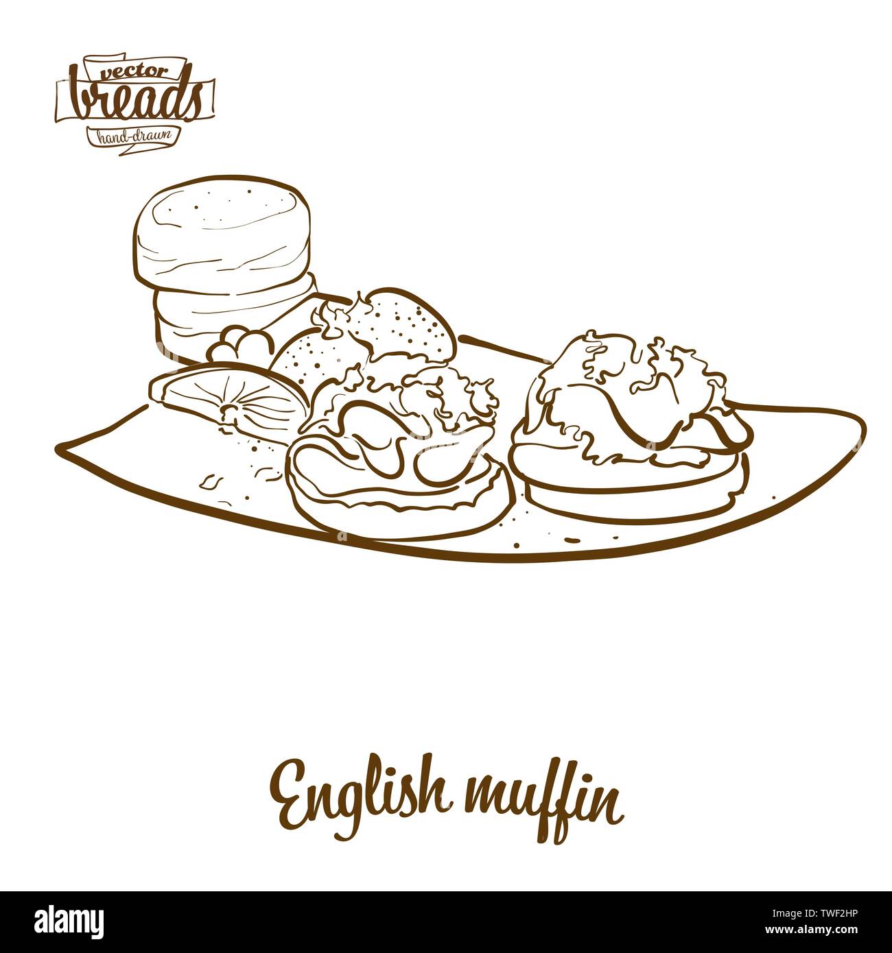 Muffin inglese pane disegno vettoriale. Schizzo di alimentare il lievito di pane, usualmente noto nel Regno Unito. Illustrazione da forno serie. Illustrazione Vettoriale