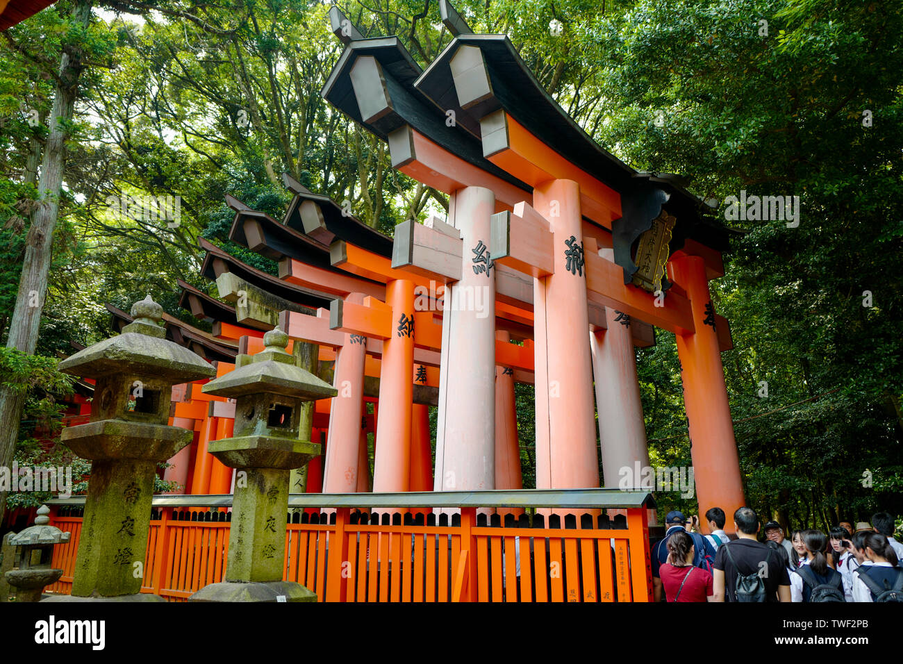 Kyoto, Giappone, 31st, Maggio, 2017. Un torii percorso attraverso la montagna dal lato. Fushimi Inari Taisha è il santuario di testa di Inari Kami. Foto Stock