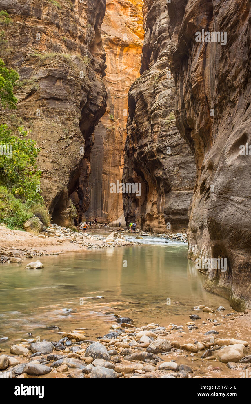 Il fiume vergine si insinua attraverso la spettacolare e sorprendente si restringe, Zion National Park, Stati Uniti d'America gli escursionisti in distanza Foto Stock