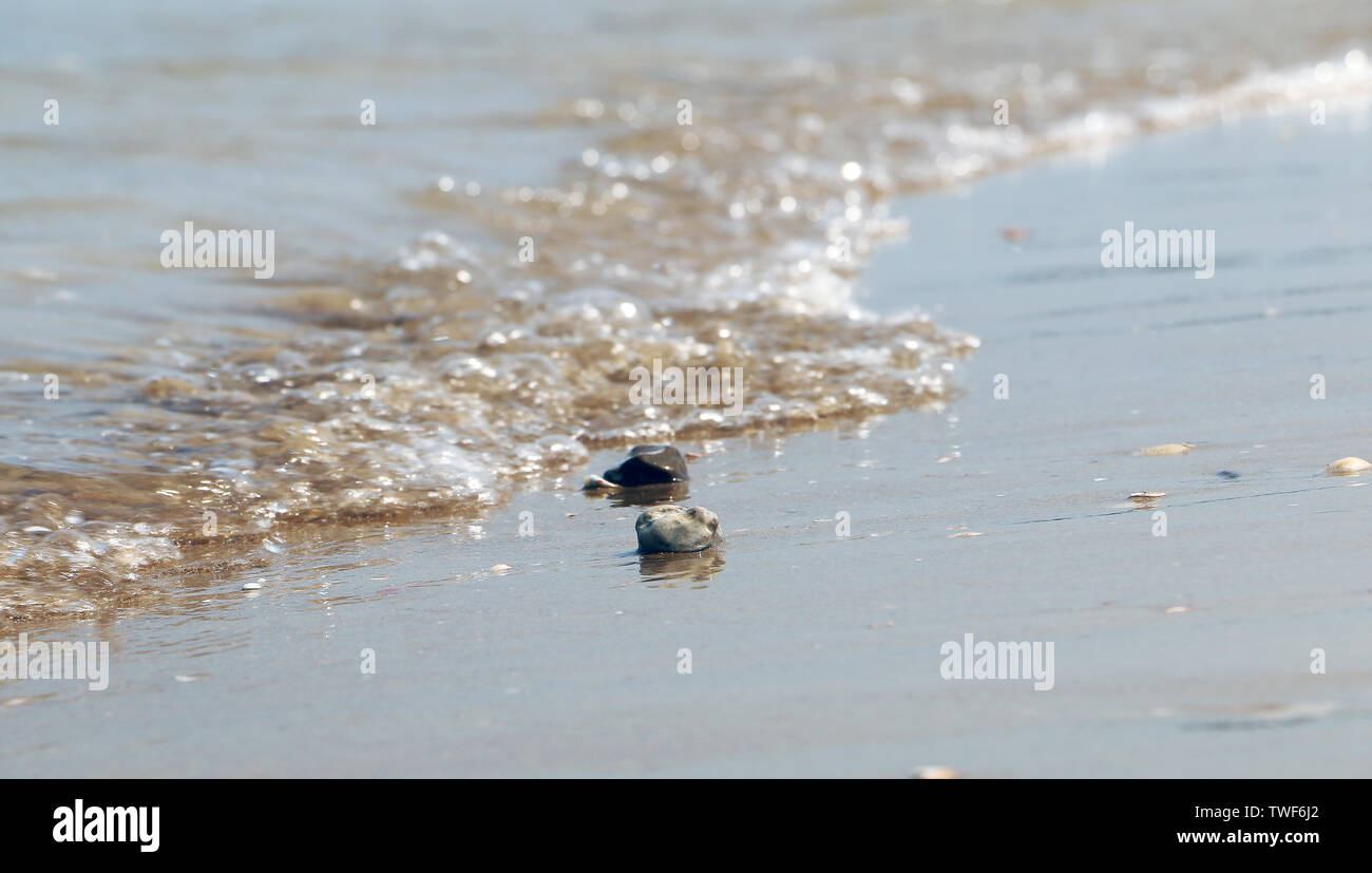 Piccolo levigata liscia pietre sulla spiaggia di sabbia su sfondo del mare, le onde e il cielo. Estate texture lucido copia spazio. Profondità di campo. Foto Stock