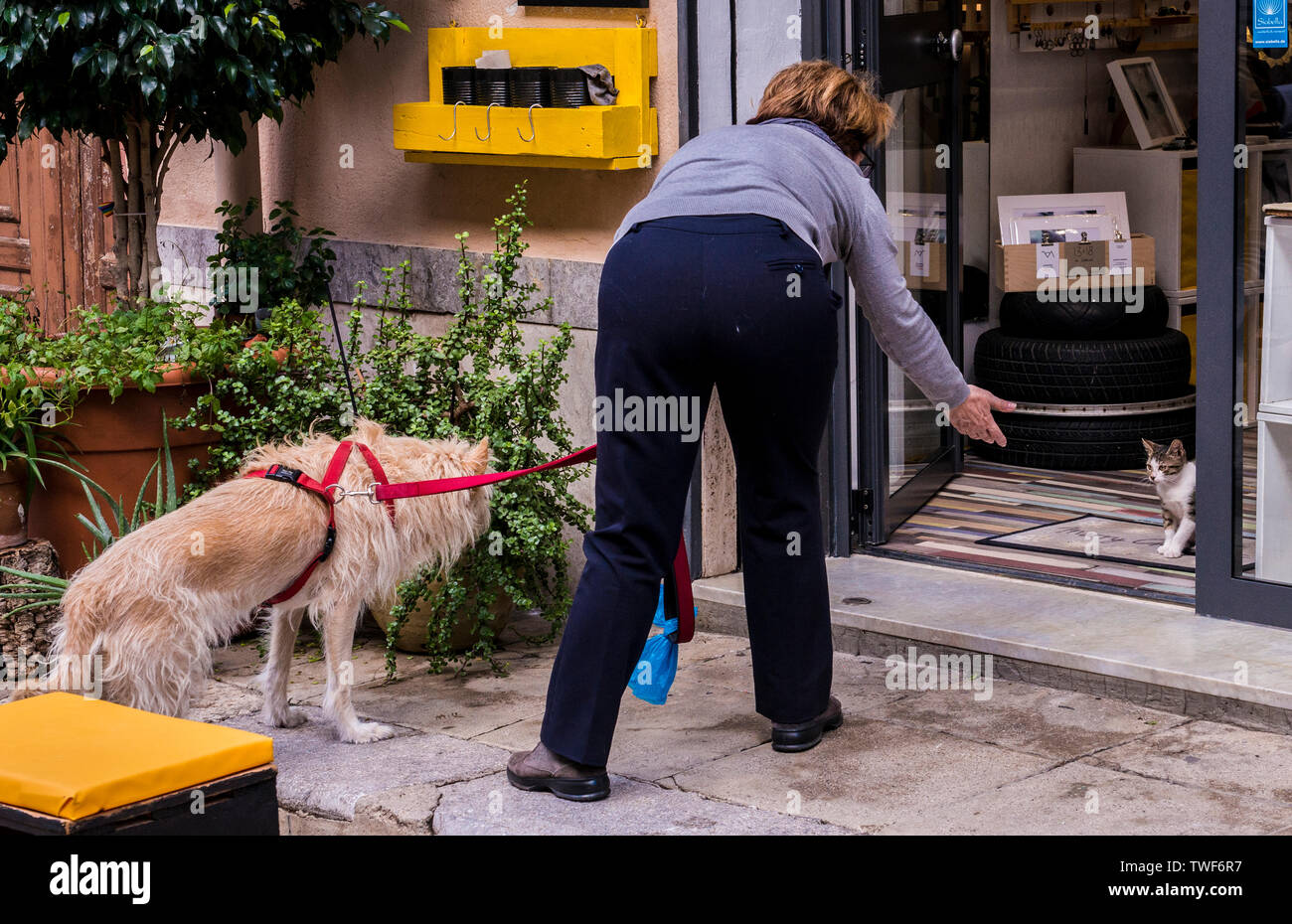 Vista posteriore della donna in piedi fuori porta aperta azienda cane sul piombo e cercando di cavo coassiale cat fuori porta a Palermo in Sicilia. Foto Stock