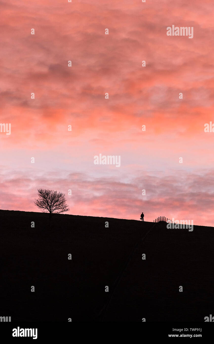 La figura di una persona stagliano contro il cielo colorato allo spuntar del giorno nella campagna di Dorset. Foto Stock