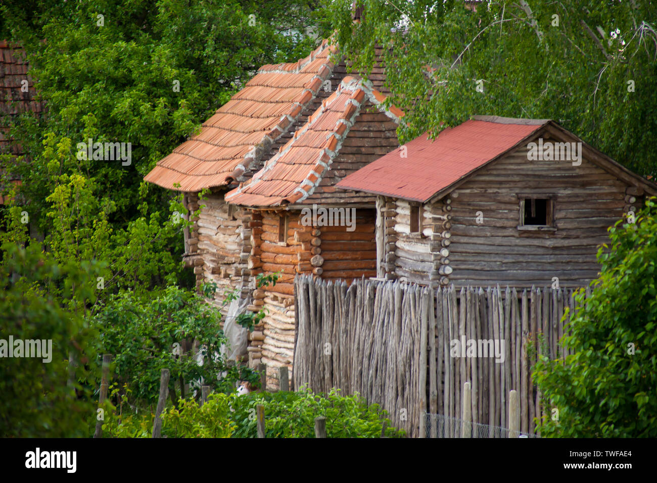 Cottage di vecchia costruzione in una fila. Verde tutto intorno. Foto Stock