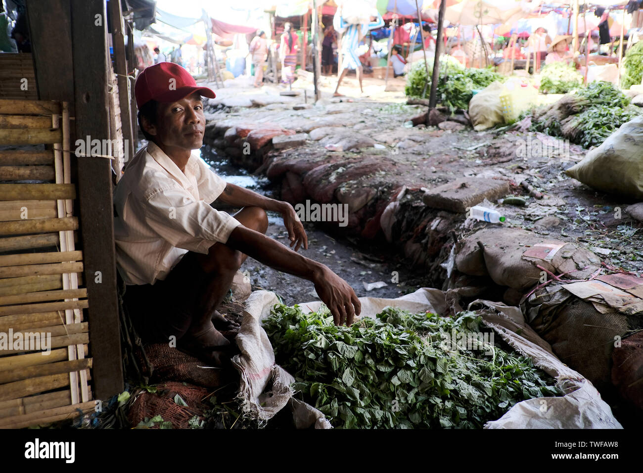 Un mercato birmano venditore con verdure fresche a Yangon. Foto Stock