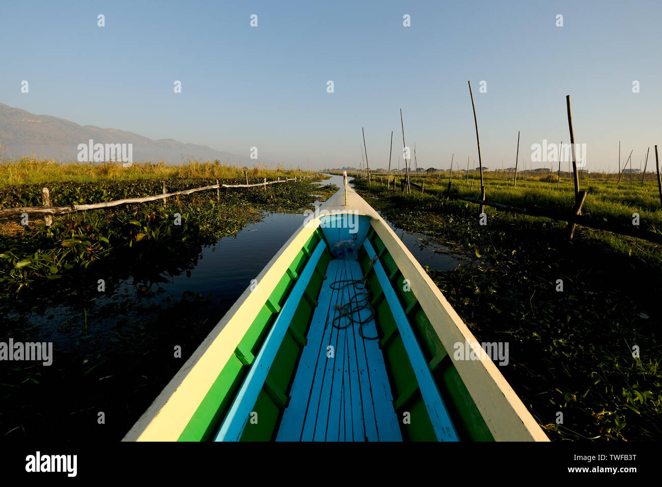 Una canoa fa il suo modo attraverso la floating orti sul Lago Inle. Foto Stock