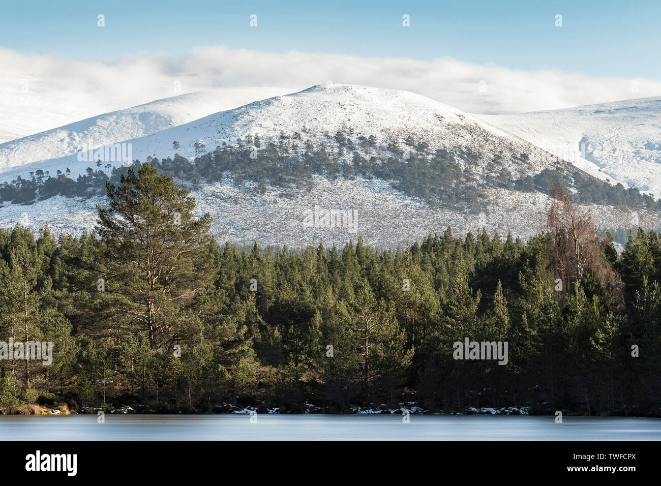 Gaoithe Sgor mountain al Glen Feshie nel Parco Nazionale di Cairngorms della Scozia. Foto Stock