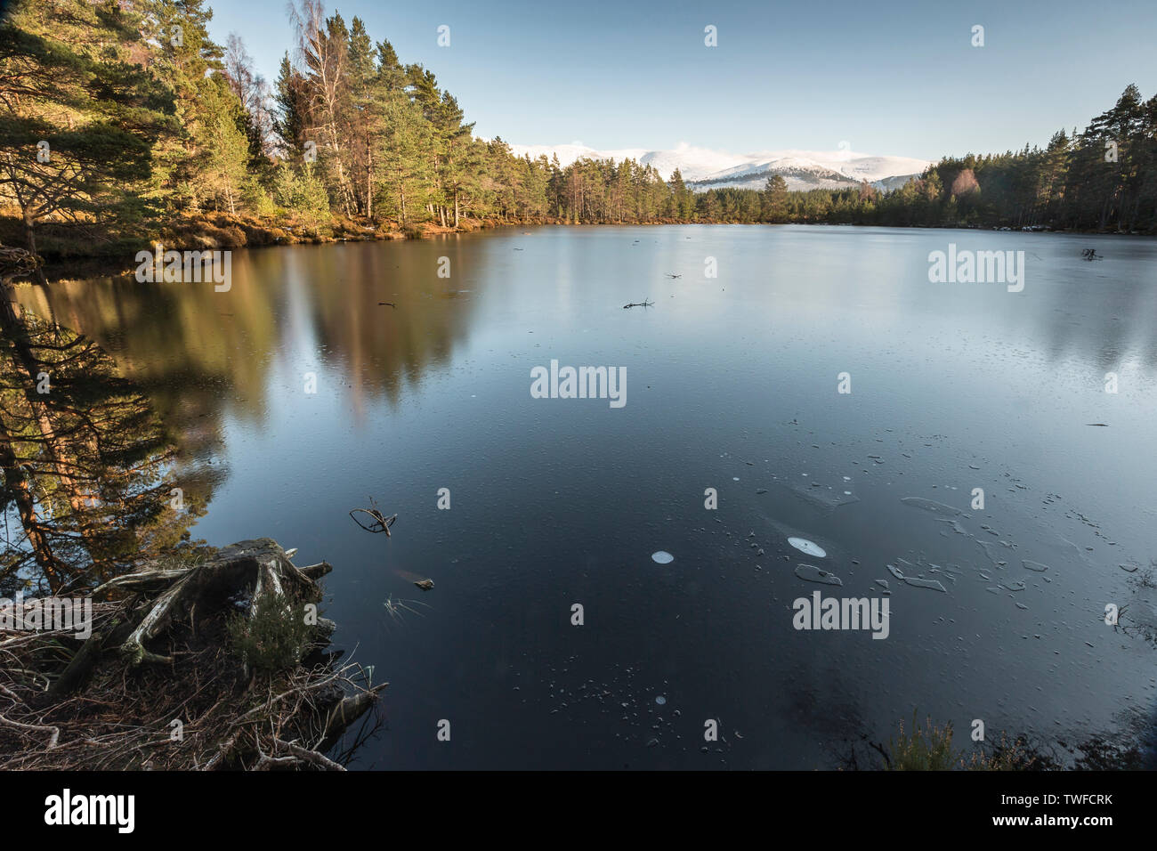 Uath Lochan e Cairngorms in inverno al Glen Feshie in Scozia. Foto Stock
