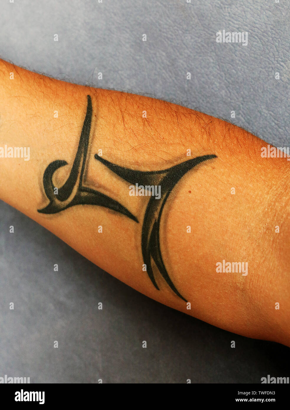 Tattoo Nero Gemini segno sul maschio adulto mano. Zodiac simbolo sexy su sun-pelle abbronzata. Concetto di artista e di henna art. Sfondo grigio. Foto Stock