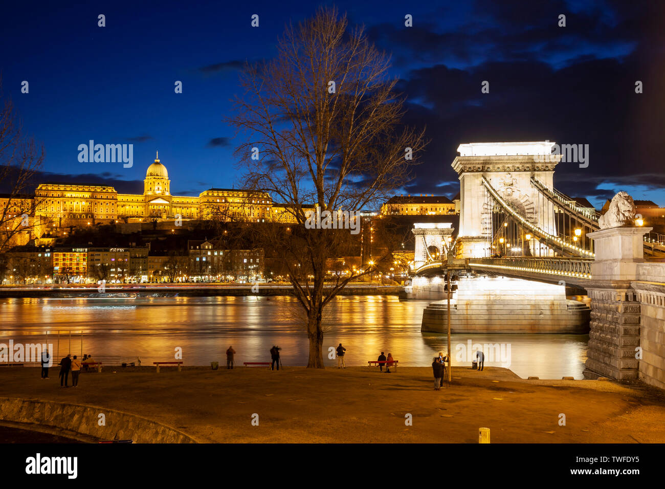 Serata al Ponte delle catene a Budapest con il Castello di Buda si vede attraverso il Danubio. Foto Stock