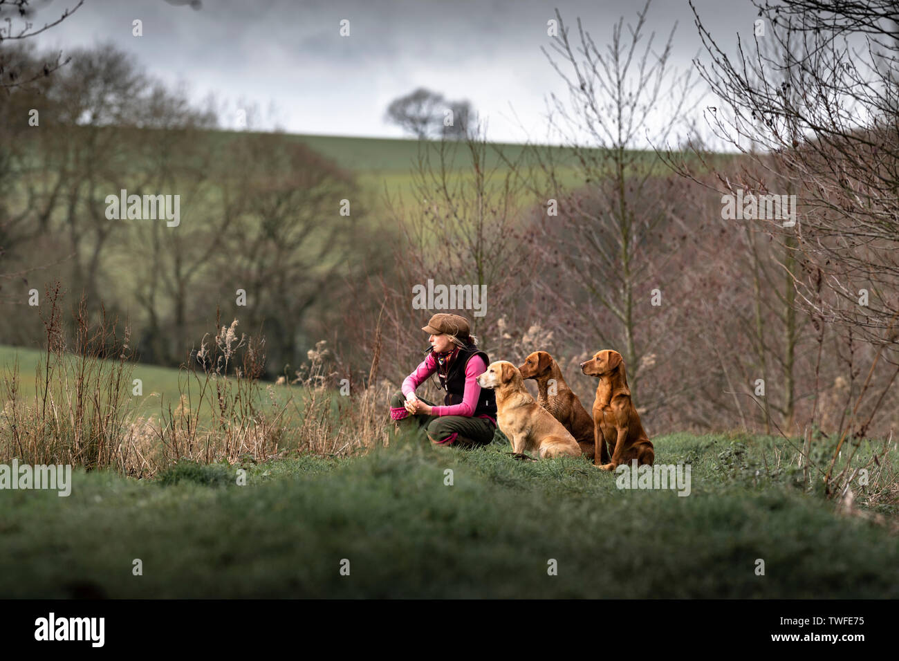 Fagiani e pernici riprese in autunno campagna con la pistola cani. Foto Stock