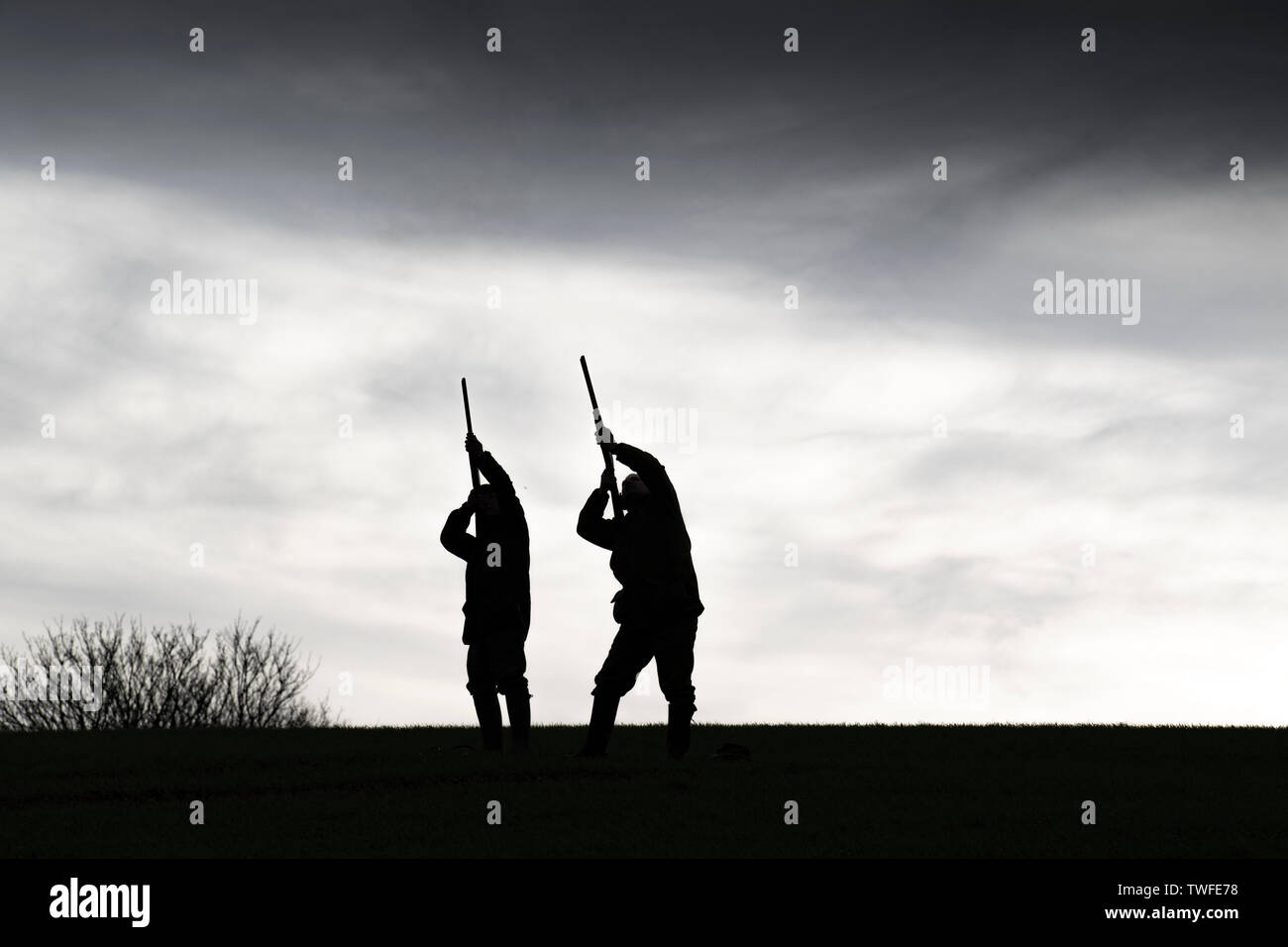 Fagiani e pernici riprese in autunno campagna con la pistola cani. Foto Stock