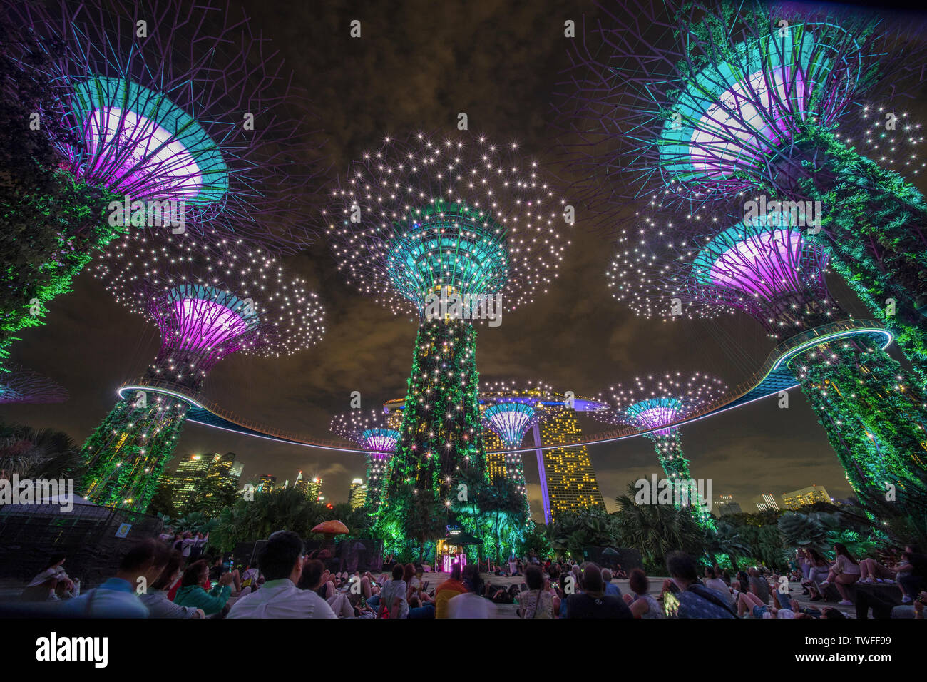 Growds raccogliere per piacere nel ispirante luce e spettacolo musicale dei giardini dalla Baia di Singapore. Foto Stock