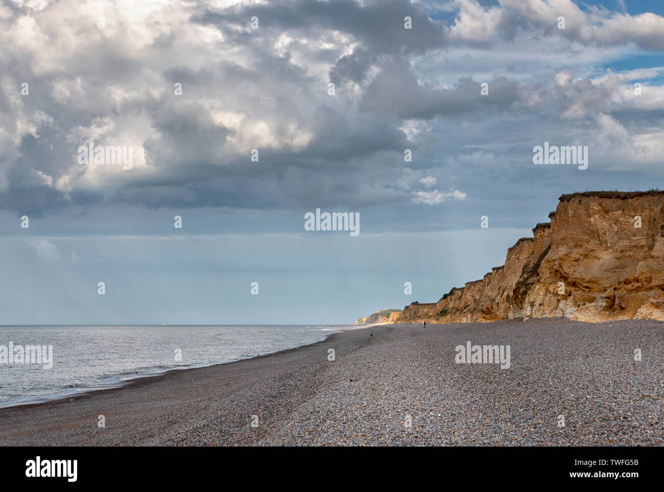 Weybourne scogliere in sera la luce solare Foto Stock