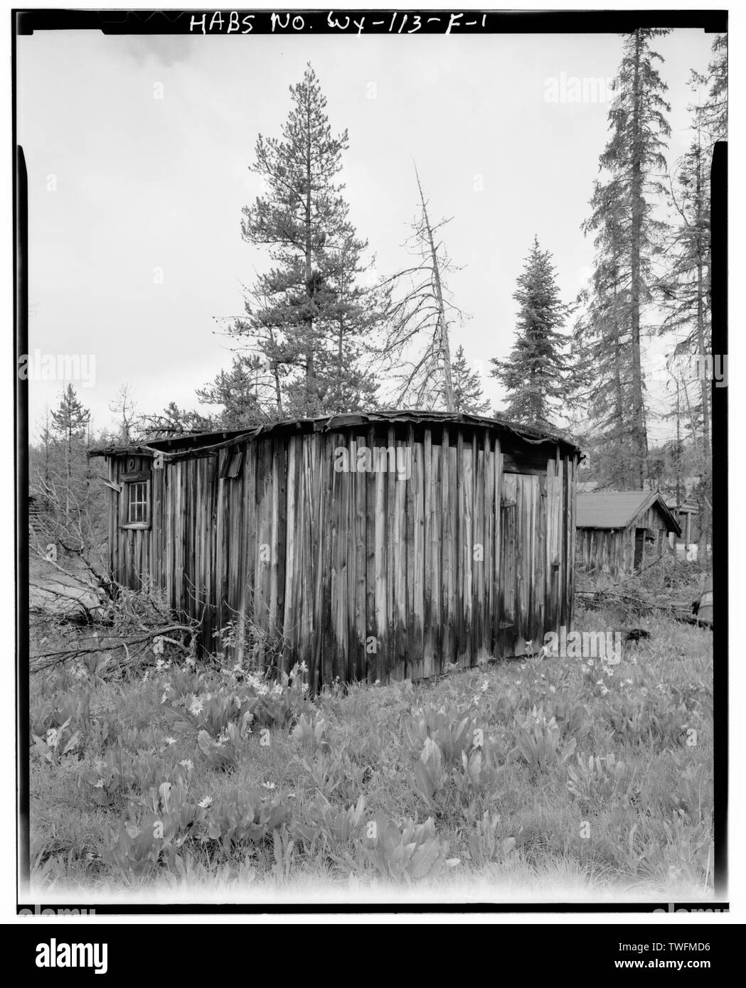 Casa POTENZA, guardando ad ovest-sud ovest. - Geraldine Lucas Homestead, casa di potere, West Bank pioppi neri americani Creek, 2,5 miglia a valle da Lake Jenny, alci, Teton County, WY; Wegman-French, Lysa trasmettitore Foto Stock