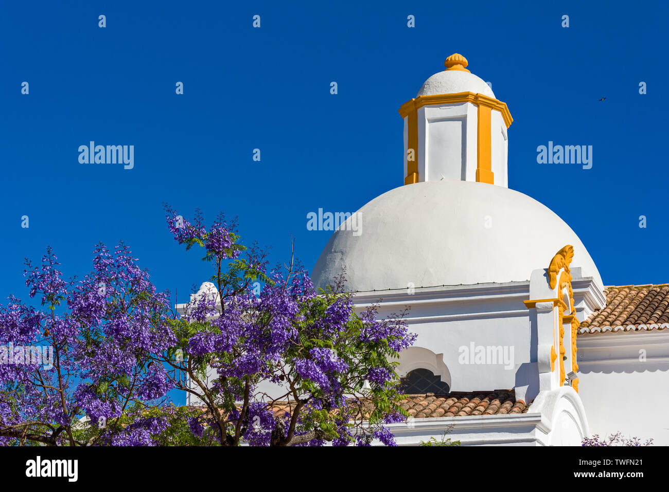 Ermida de São Sebastião e una Jacaranda mimosifolia a Tavira, Algarve, PORTOGALLO Foto Stock