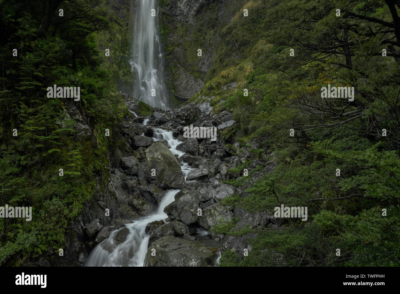 Devil's Conca Falls, Arthur's Pass il Parco Nazionale di South Island, in Nuova Zelanda Foto Stock