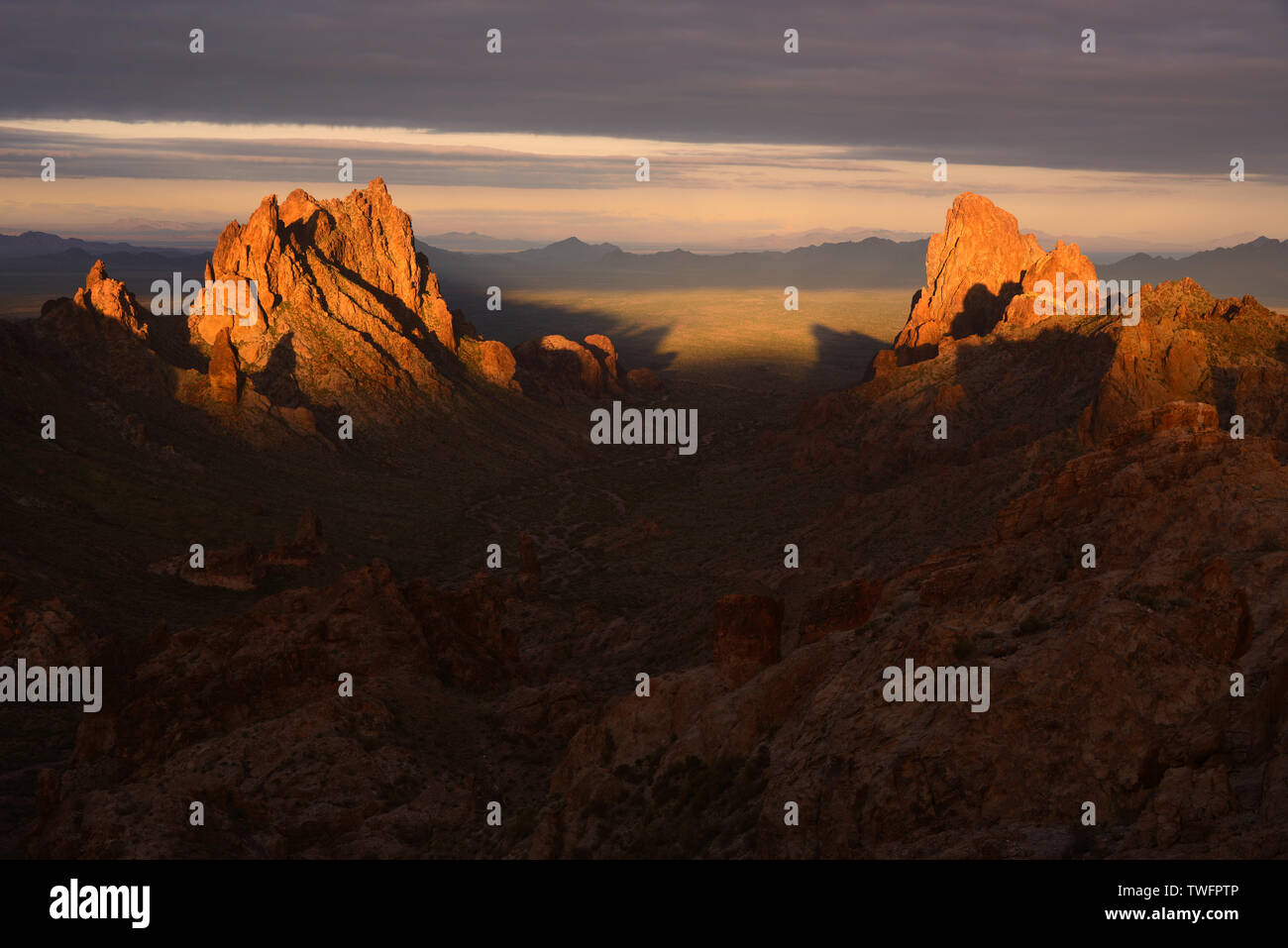 Paesaggio di montagna di sunrise, Kofa National Wildlife Refuge, Arizona, Stati Uniti Foto Stock