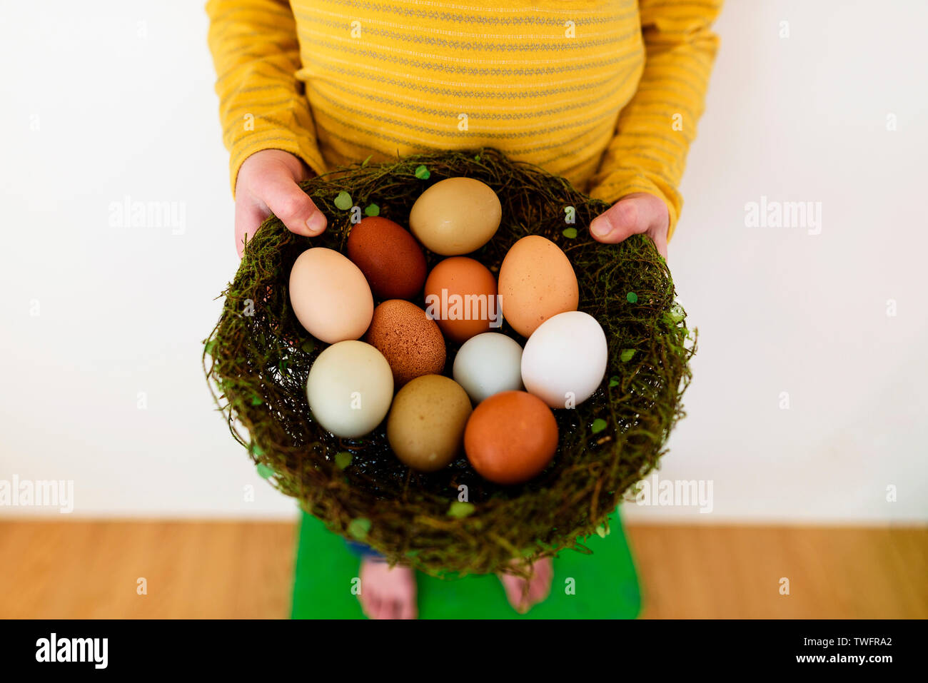 Close-up di un ragazzo tenendo un nido con uova fresche Foto Stock