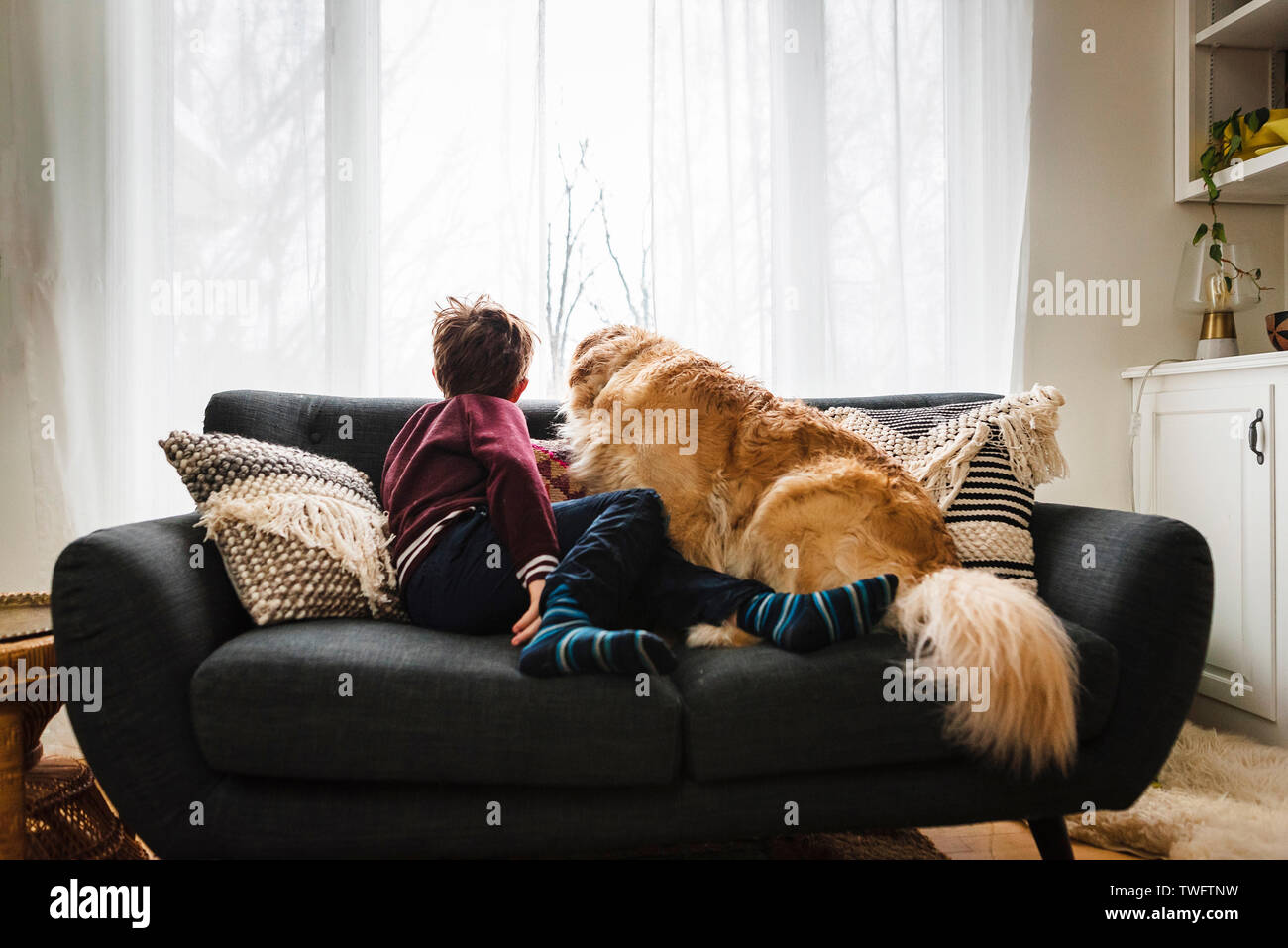 Un ragazzo e il suo golden retriever cane seduto su un divano guardando fuori da una finestra Foto Stock
