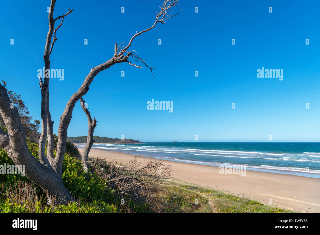 Il Park Beach, Coffs Harbour, Nuovo Galles del Sud, Australia Foto Stock