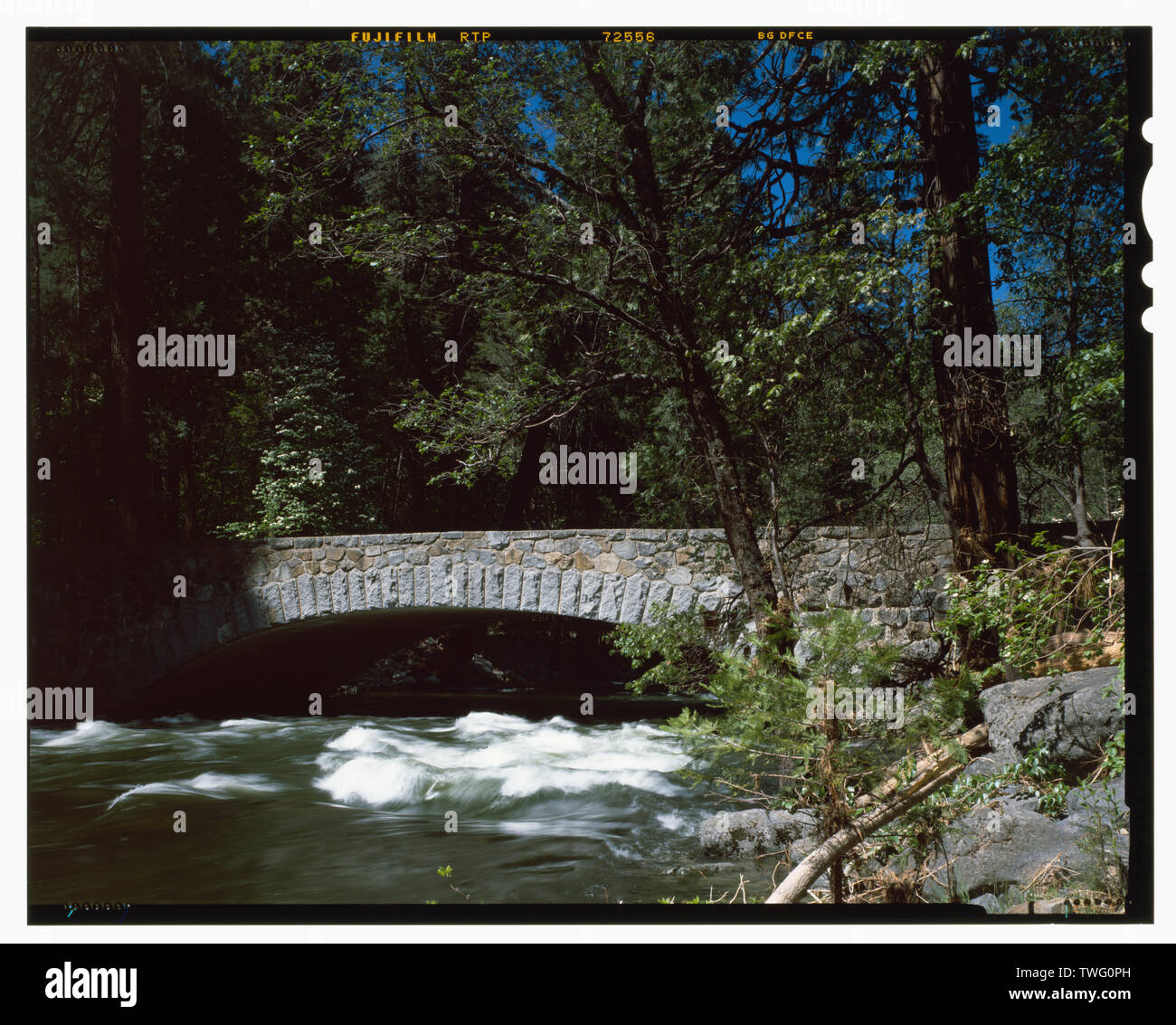 - Pohono bridge spanning Merced River su Yosemite Valley Road, il Villaggio di Yosemite, Mariposa County, CA Foto Stock
