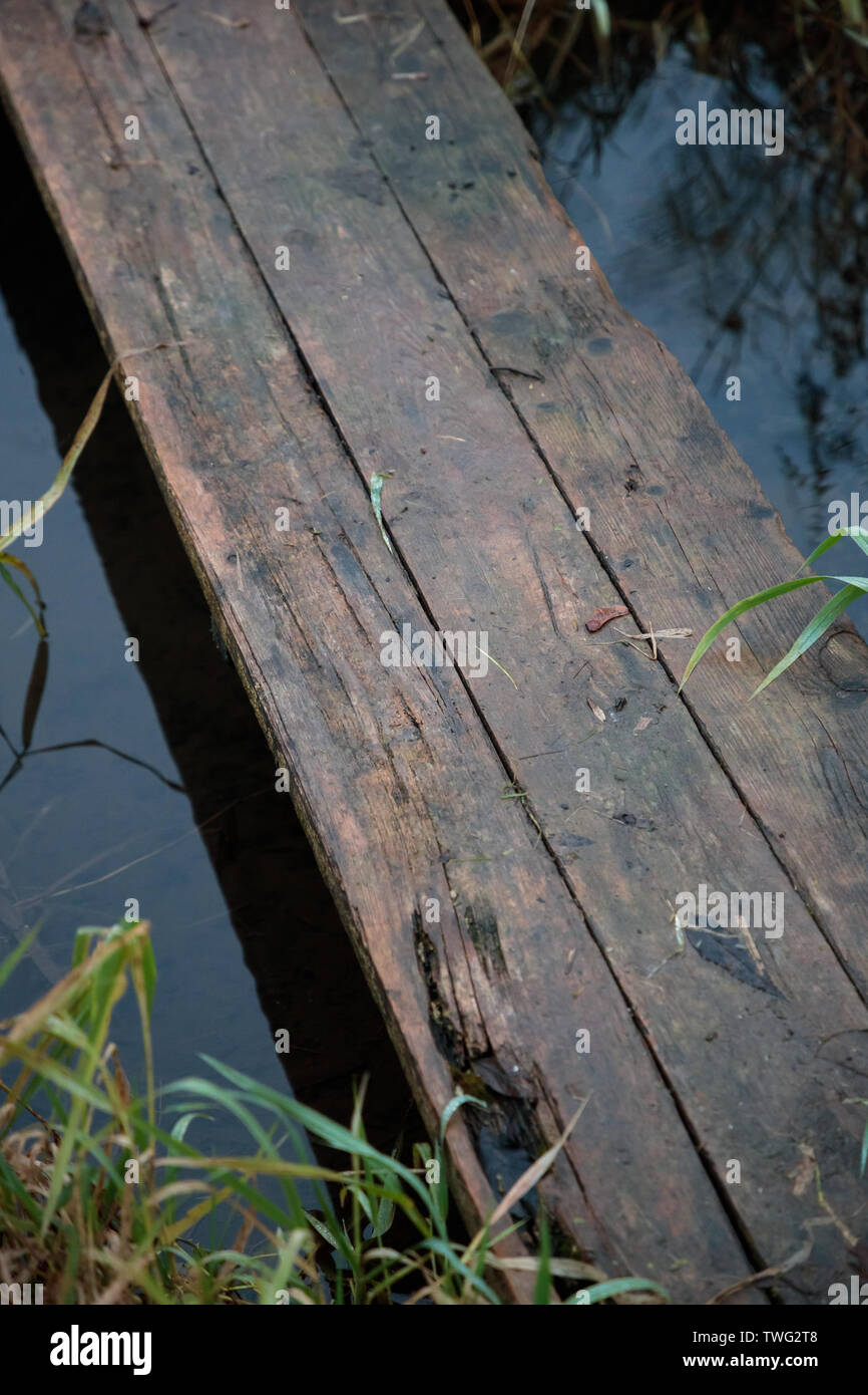 Vecchio e bagnato di legno per attraversare il fiume nella foresta Foto Stock