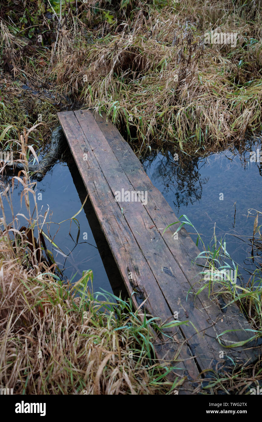Vecchio e bagnato di legno per attraversare il fiume nella foresta Foto Stock