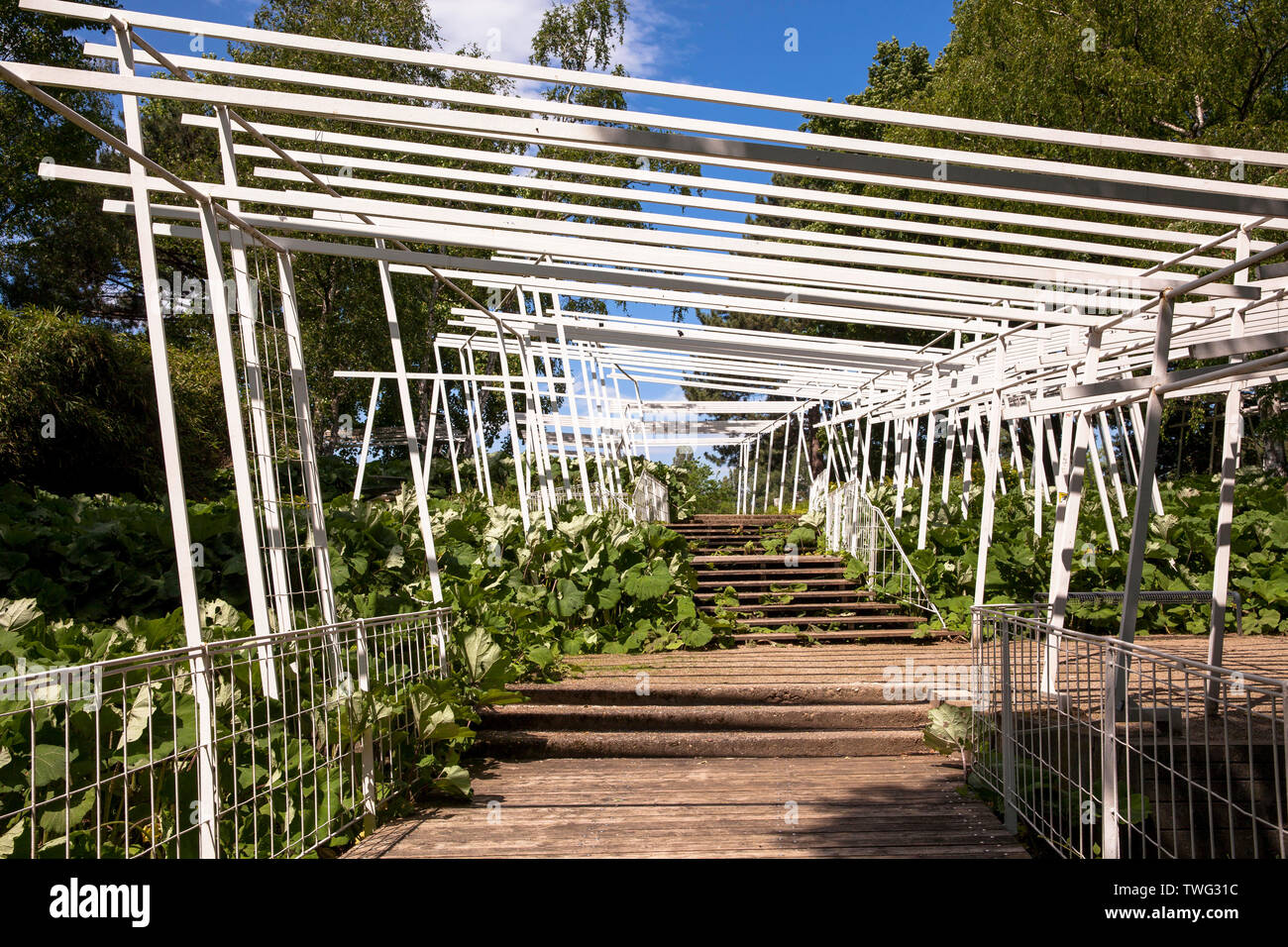 Il parco del Reno nel quartiere Deutz, local area ricreativa, pergola, Colonia, Germania. der Rheinpark im Stadtteil Deutz, Naherholungsgebiet, Pergola Foto Stock