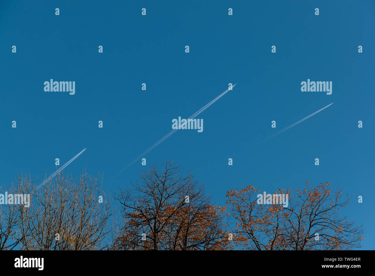 In autunno gli alberi sullo sfondo di tre piani di volo Foto Stock