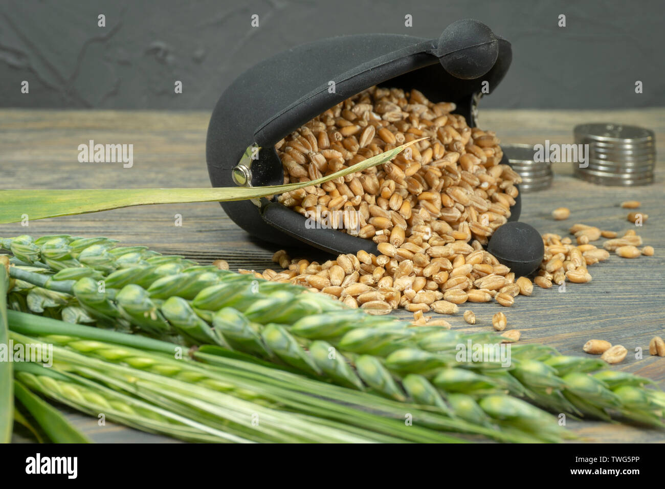 Semi di grano fuoriuscita da un telaio piccolo portamonete con spighe fresche di Grano verde e fiocco di monete su un legno rustico sfondo in una pianta coltivata agricola un Foto Stock