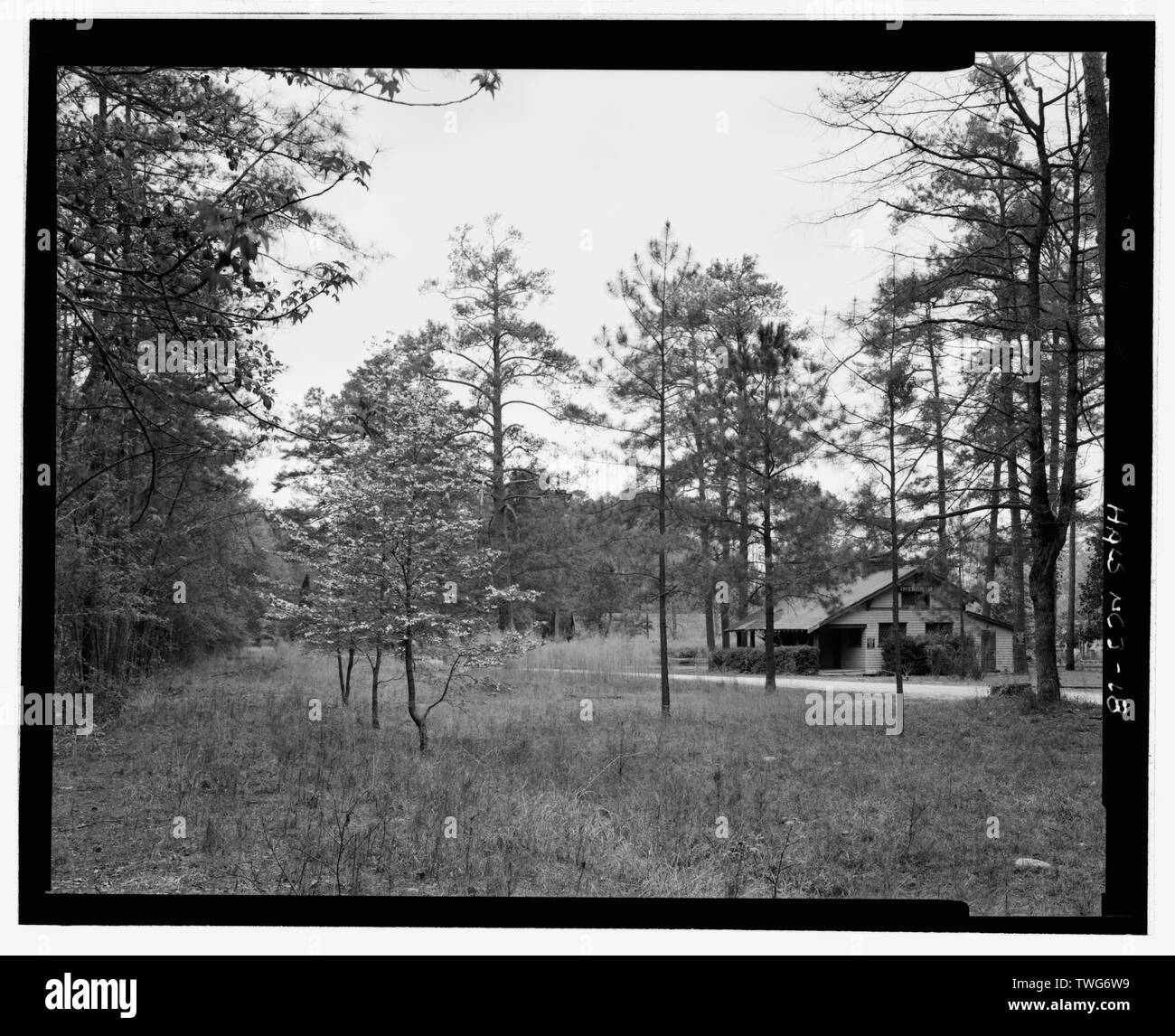 Corridoio FERROVIARIO E STRADALE DI INGRESSO guardando ad ovest - Overhills, Fort Bragg militare prenotazione, circa 15 miglia a NW di Fayetteville, Overhills, Harnet County, NC Foto Stock