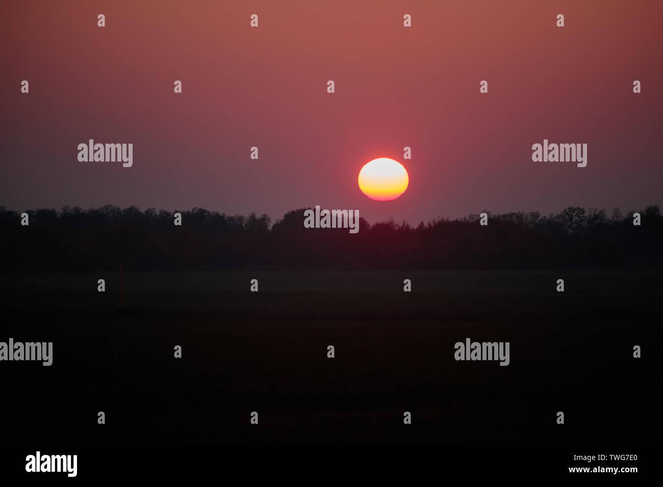 Tramonto in tempo di nebbia sulla foresta Foto Stock