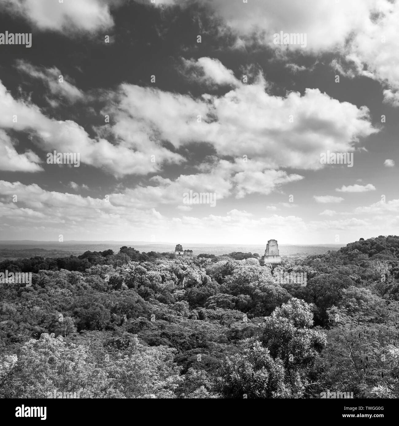 Tikal in Guatemala, antica città Maya in rovine circondata dalla giungla in splendide in bianco e nero Foto Stock