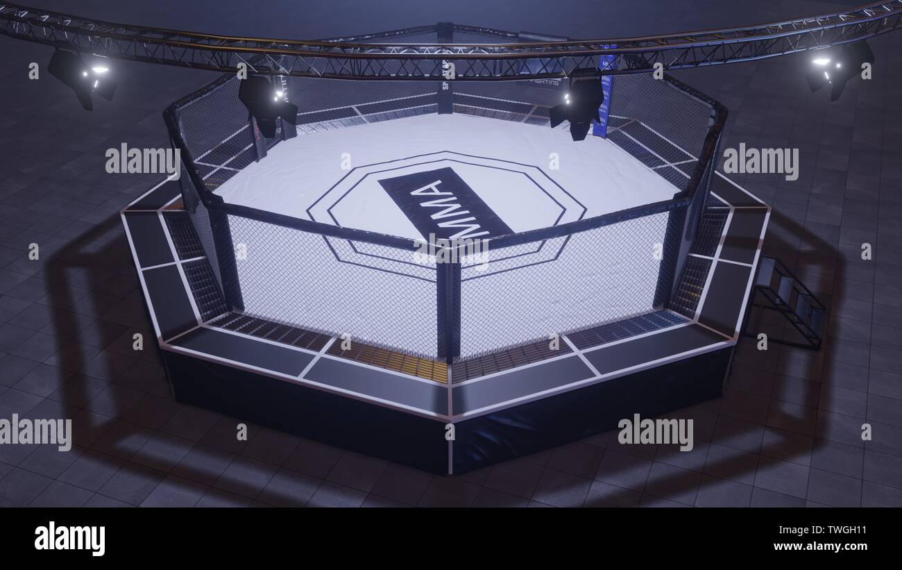 Un 3D render di MMA arena lotta gabbia sotto i washer. Foto Stock