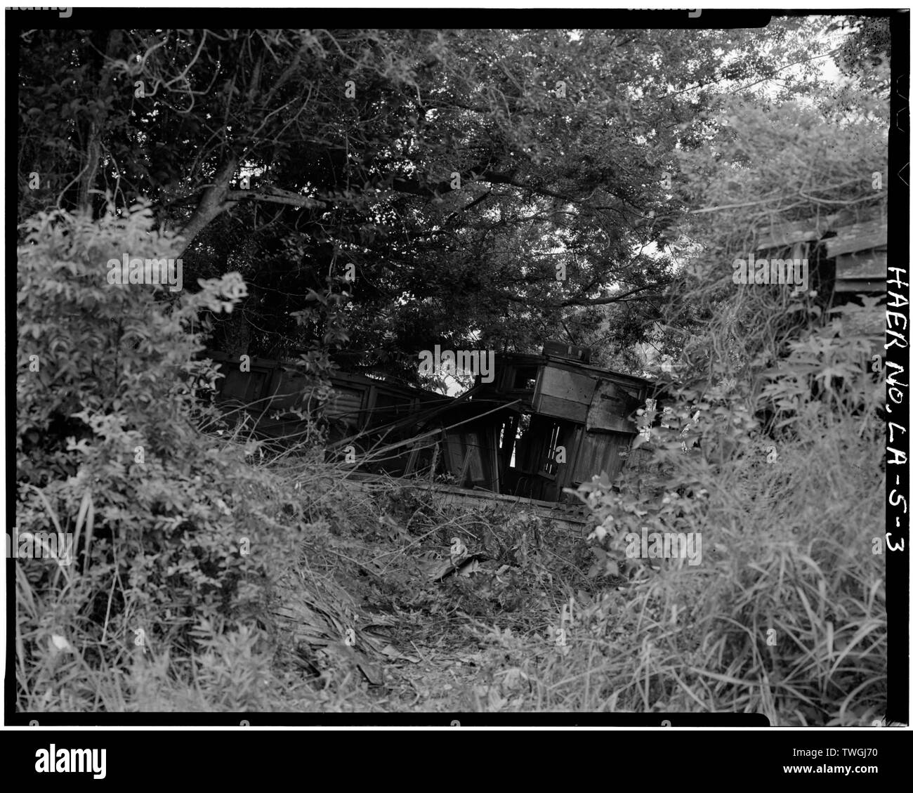 Resti di M-V "Fox" come visto da ovest, mostrando le cabine - motorizzato nave a vela Fox, Spiaggiata sulla sponda est ofBayou Lafourche, Larose, parrocchia di Lafourche, LA; Aymar, Ormand; Murphee, Michael P Foto Stock