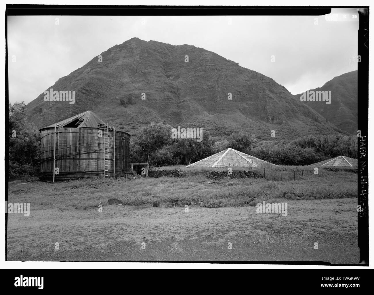 Serbatoi lungo DAMIEN ROAD VICINO AL CRATERE KAUHAKO (282'). Serbatoio di legno a sinistra è stata eretta CA. 1969. Il cemento rivestito di serbatoi in muratura con lamiera ondulata tetto, costruita CA. 1894, sono situati a destra. - Kalaupapa sistema di approvvigionamento di acqua, Waikolu Valle di Kalaupapa insediamento, isola di Molokai, Kalaupapa, Kalawao County, HI Foto Stock