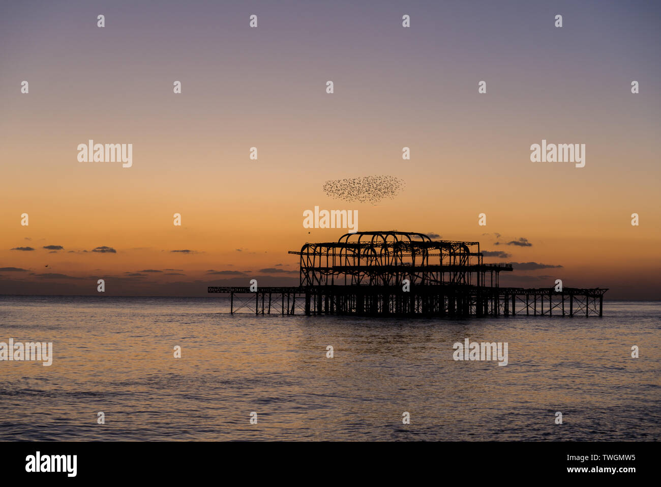 Starling murmuration, Molo Ovest di Brighton , tramonto in inverno Foto Stock