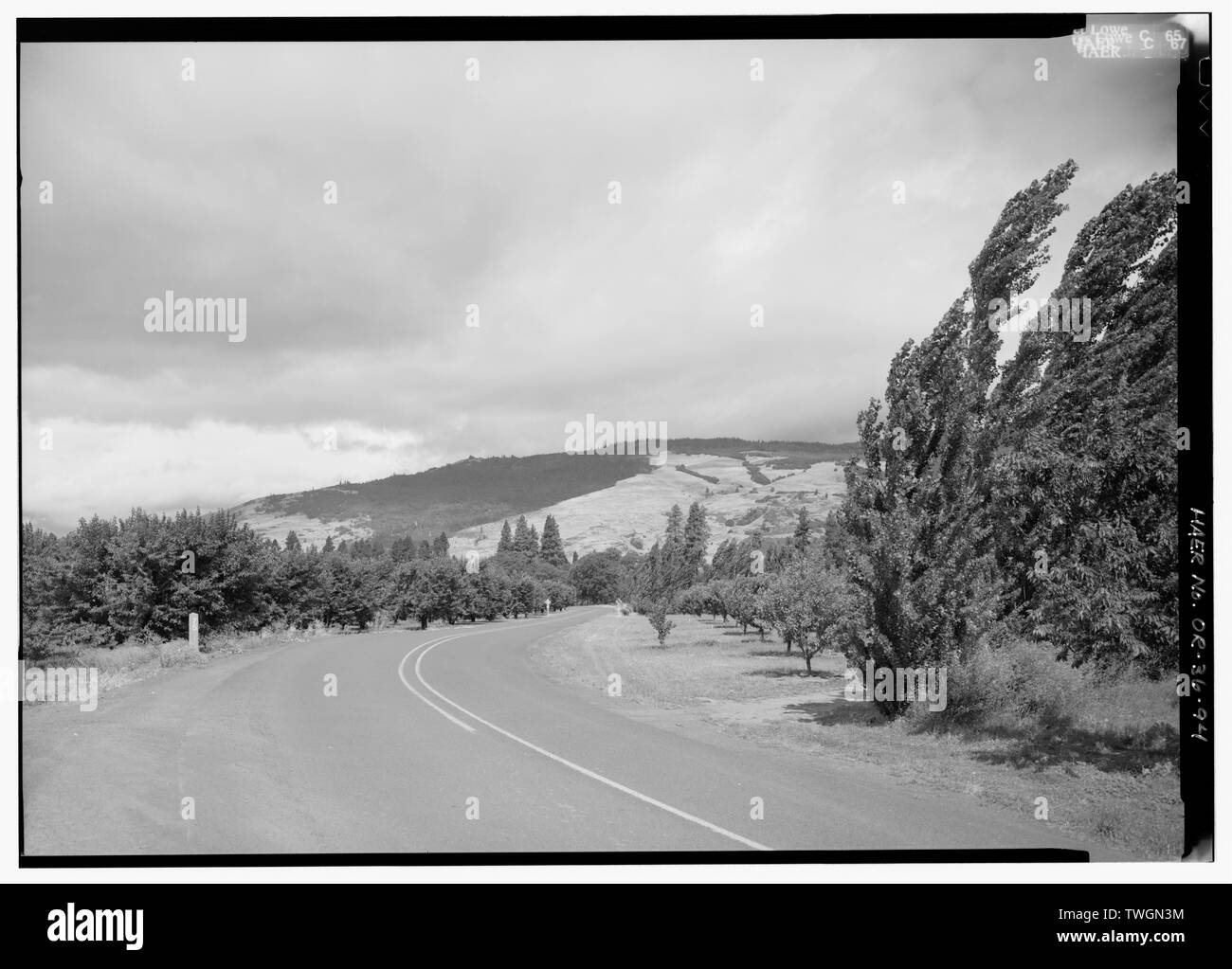 Paesaggio della strada guardando a Nord attraverso Cherry Orchard vicino MOSIER. MILEPOST 75 IN PRIMO PIANO A SINISTRA. Colline di Washington in background. - Storico fiume Columbia autostrada, Troutdale, Multnomah County, o Foto Stock