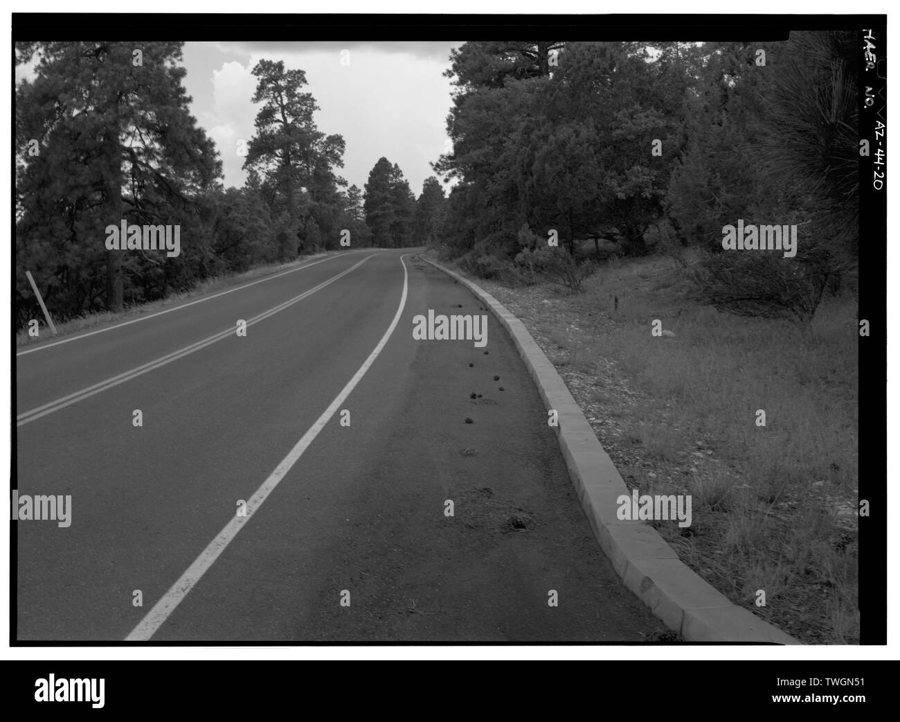 Vista su strada e frenare sulla collina BUGGEN, rivolta verso sé. - East Rim Drive, tra South Entrance Road e il confine del parco, il Grand Canyon, Coconino County, AZ Foto Stock