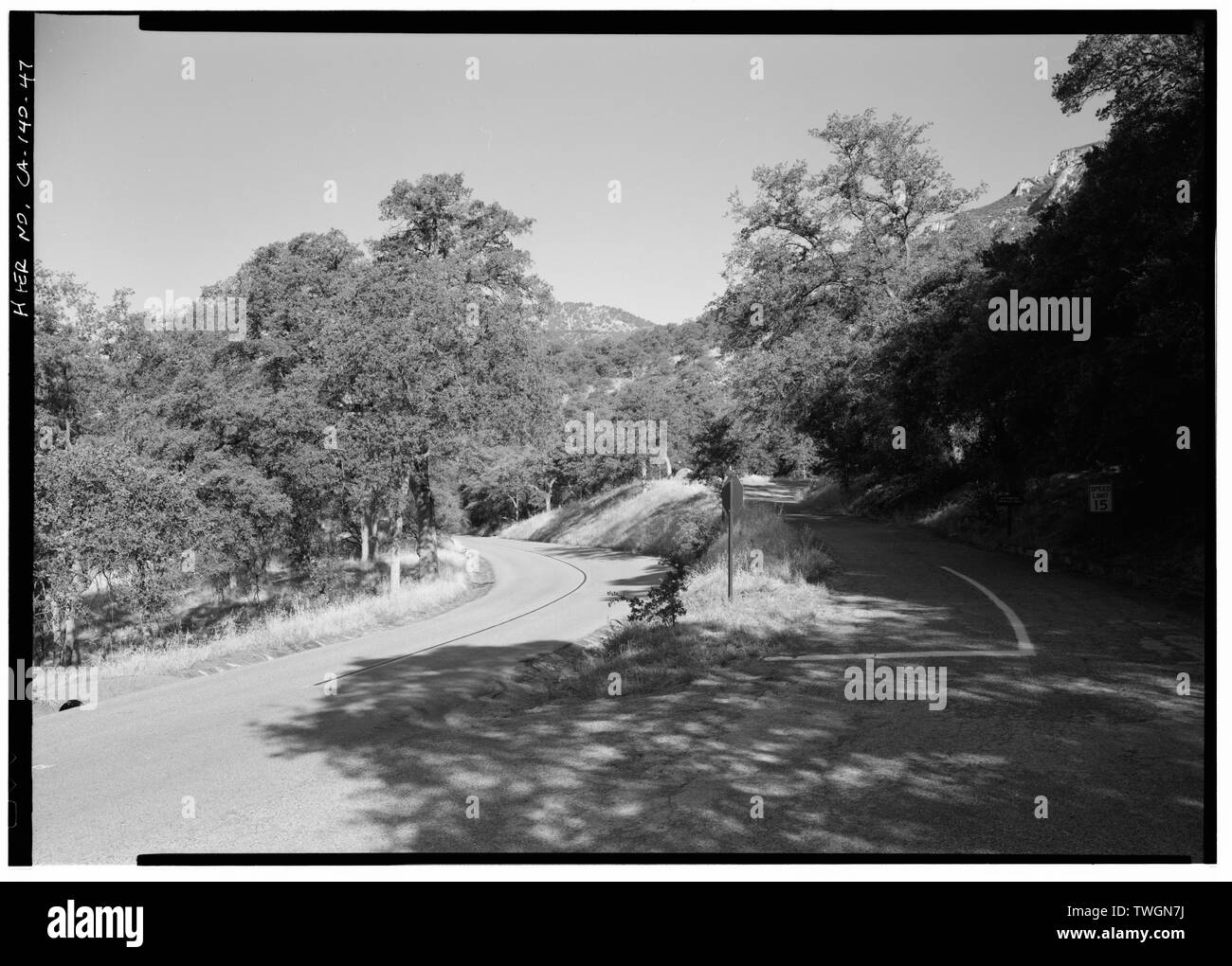 Vista su strada in modo CAMMERER, rivolta ad ovest - Generals Highway, tre fiumi, Tulare County, CA Foto Stock