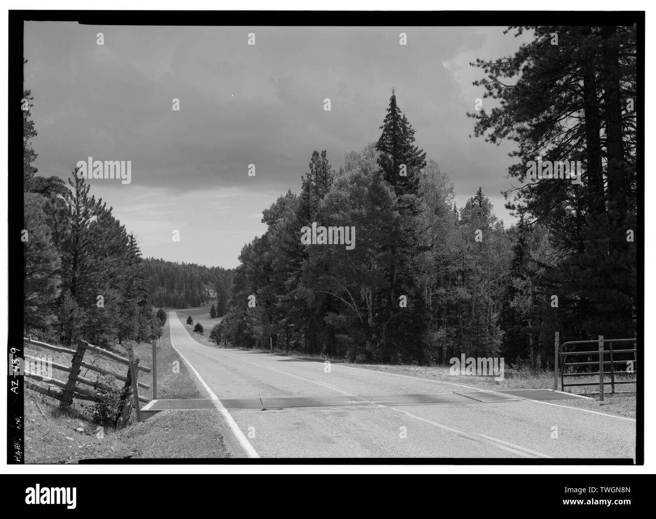 Vista su strada al km 14,5, rivolta ne. - Ingresso NORD Road, tra poco Park e il Bright Angel Point, Grand Canyon, Coconino County, AZ Foto Stock
