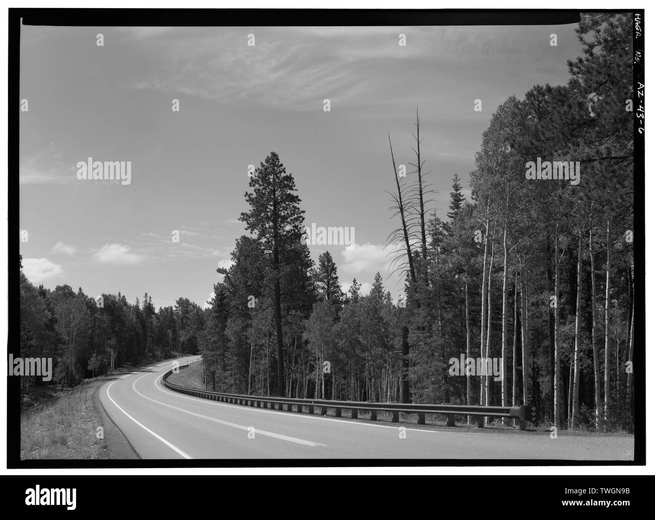Vista su strada a 8,5 miglia a sud del lago di Giacobbe, rivolta verso S. - Ingresso NORD Road, tra poco Park e il Bright Angel Point, Grand Canyon, Coconino County, AZ Foto Stock