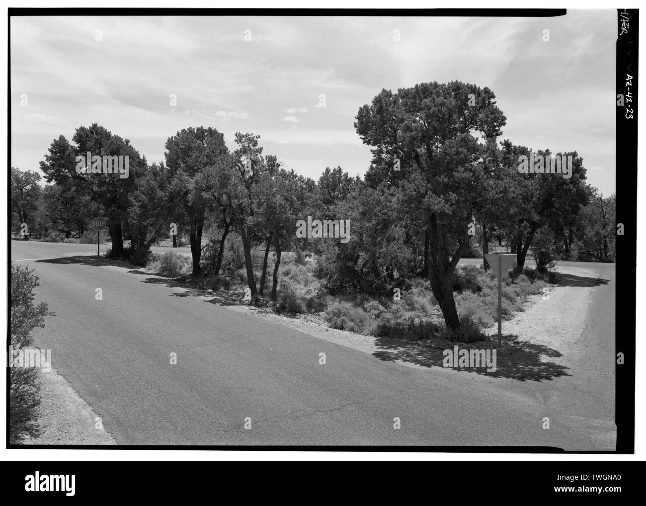 Vista su strada a PIMA WYE, rivolta verso S. WEST RIM ROAD in background. - West Rim Drive, tra il villaggio di Grand Canyon e riposo eremita, Grand Canyon, Coconino County, AZ Foto Stock