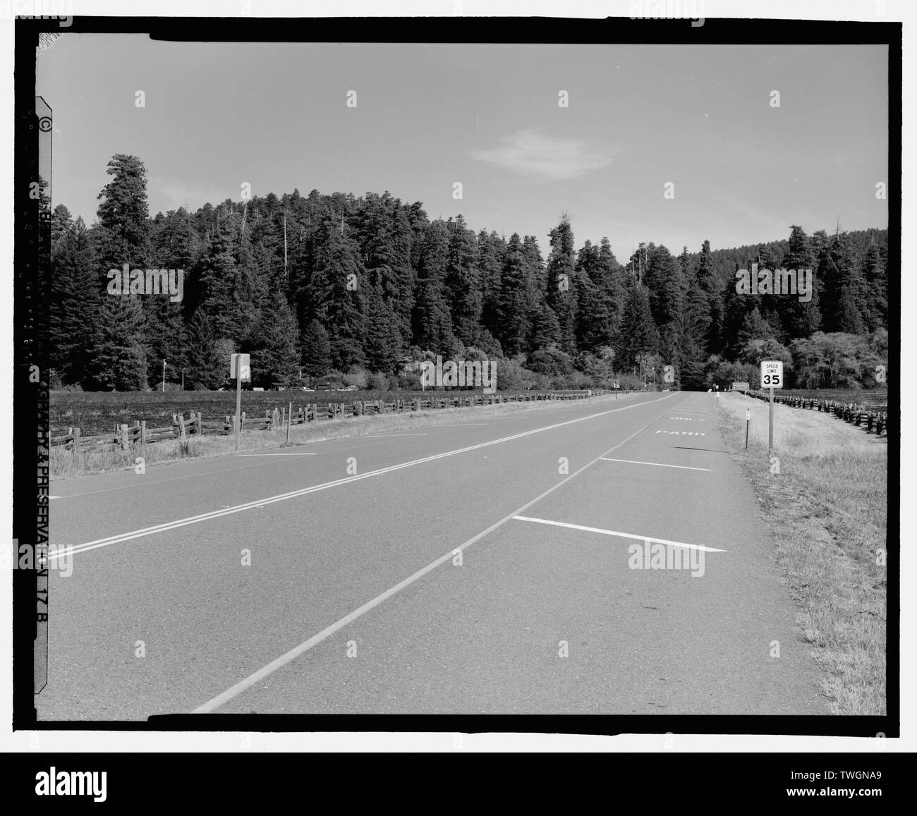 Vista su strada a PRAIRE CREEK State Park. HUMBOLDT County, California. Cerca N. - Redwood National e parchi statali strade, costa della California da Crescent City a Trinidad, Crescent City, Del Norte County, CA Foto Stock