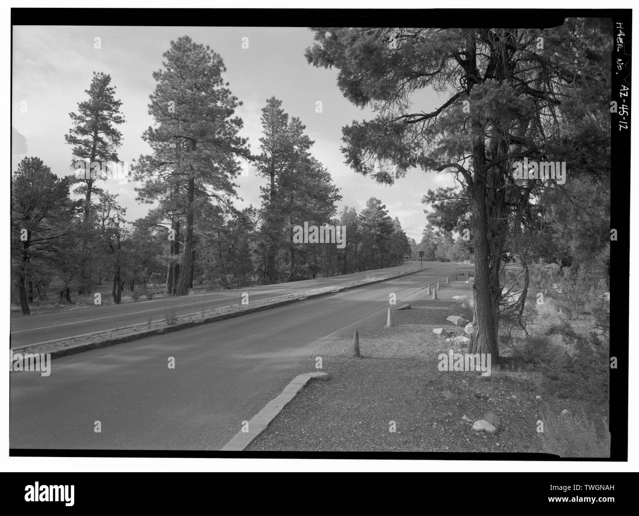 Vista su strada presso il Centro Visitatori di intersezione, rivolta verso nord STAZIONE DI GAS IN ALBERI A DESTRA. - Ingresso Sud Road, tra South Park di confine e Village Loop Road, il Grand Canyon, Coconino County, AZ Foto Stock