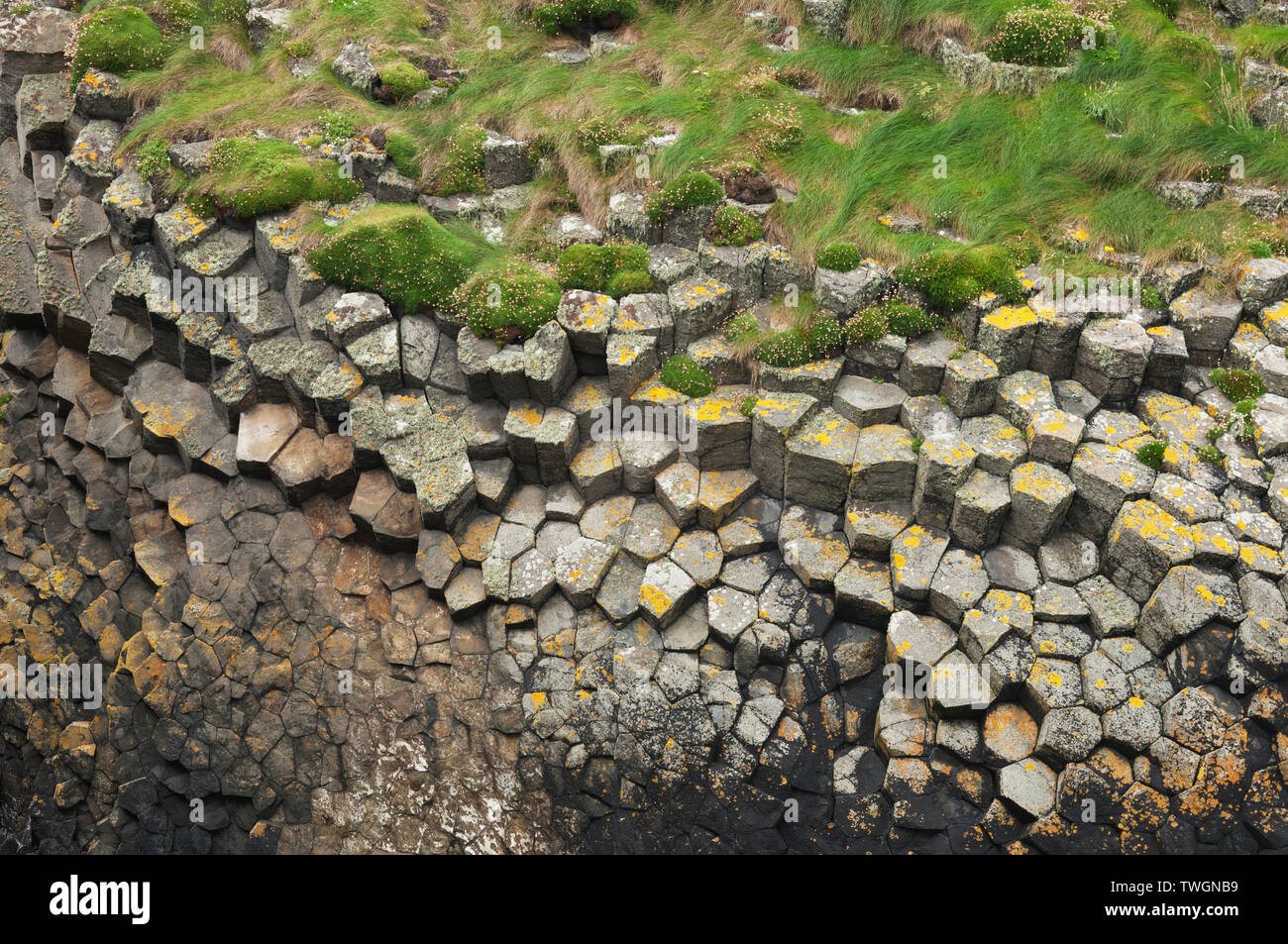 Il basalto formazioni rocciose sull isola di Staffa - Argyll, Scozia. Foto Stock