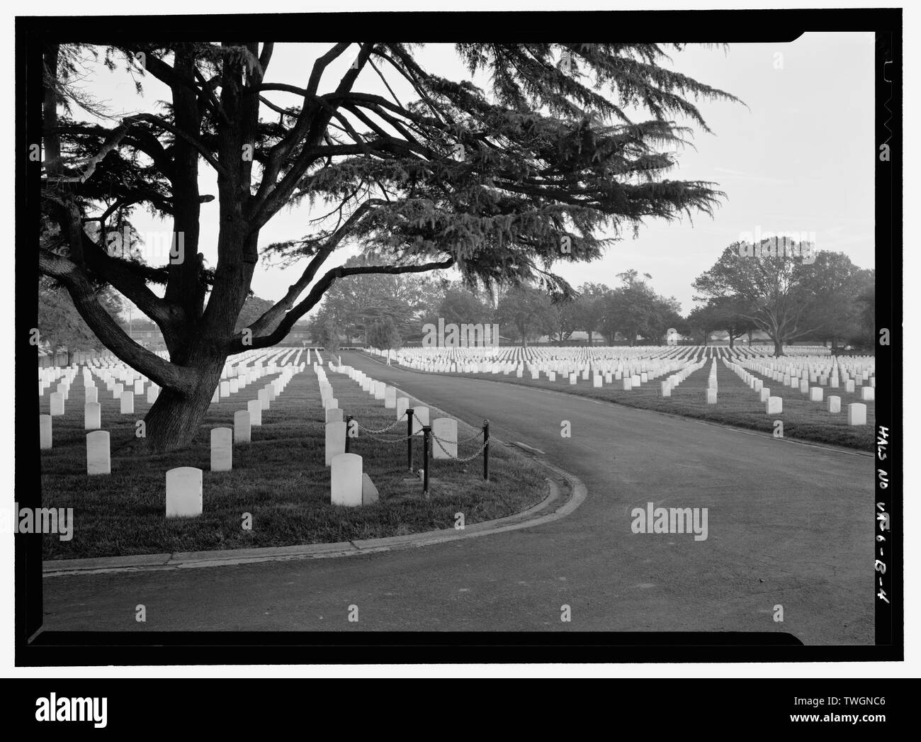 Vista su strada da pennone. Vista verso sud. - Hampton Cimitero Nazionale Phoebus aggiunta, cimitero Road presso il Marshall Avenue, Hampton, Hampton, VA; U.S. Reparto degli affari di veterani Foto Stock