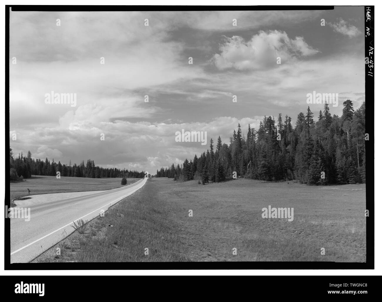 Vista su strada all'interno del parco, stazione di ingresso, rivolta a nno. - Ingresso NORD Road, tra poco Park e il Bright Angel Point, Grand Canyon, Coconino County, AZ Foto Stock