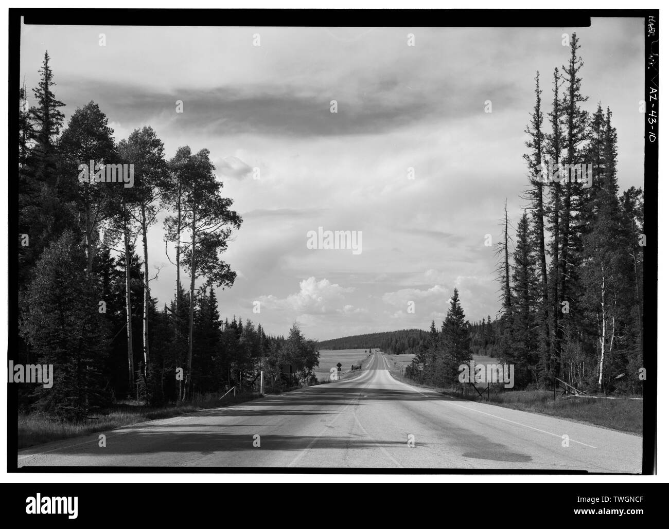 Vista su strada dalla stazione di ingresso, rivolta a nno. - Ingresso NORD Road, tra poco Park e il Bright Angel Point, Grand Canyon, Coconino County, AZ Foto Stock