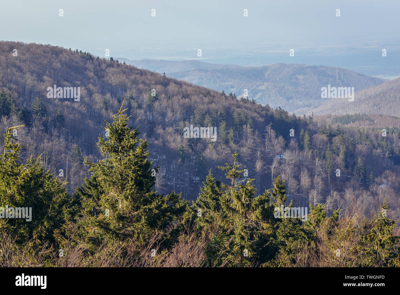 Vista da Kalenica montagna nel Parco Paesaggistico di sanguinose Sowie (Owl montagne) mountain range in Central Sudetes, Polonia Foto Stock